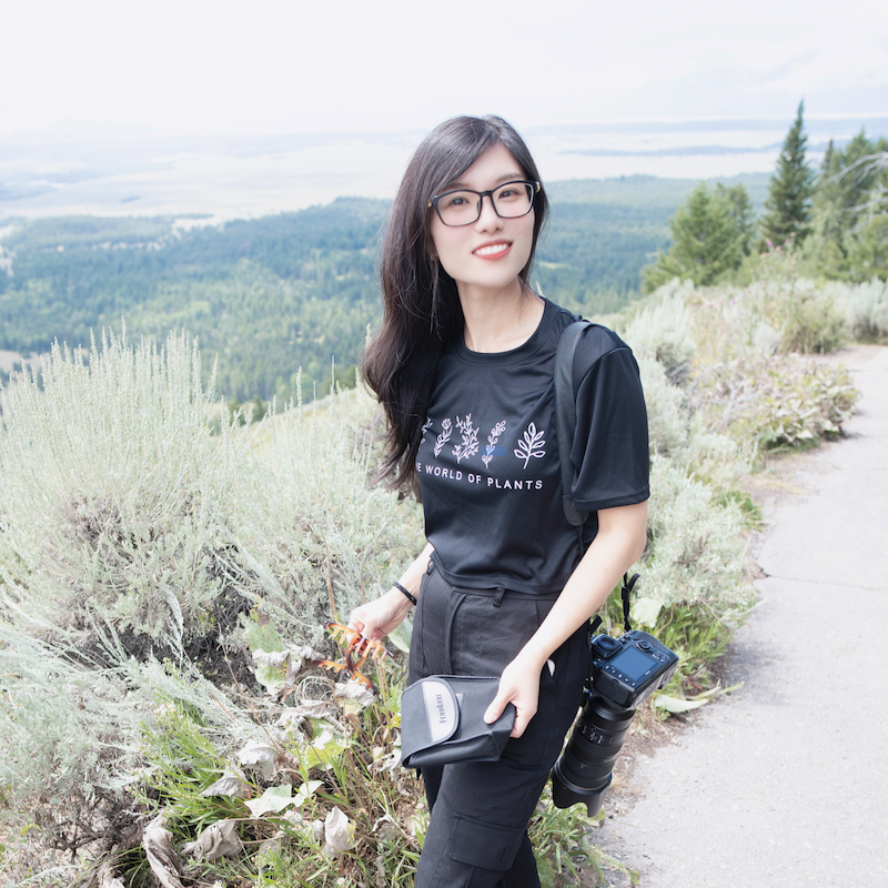Janice Zhang